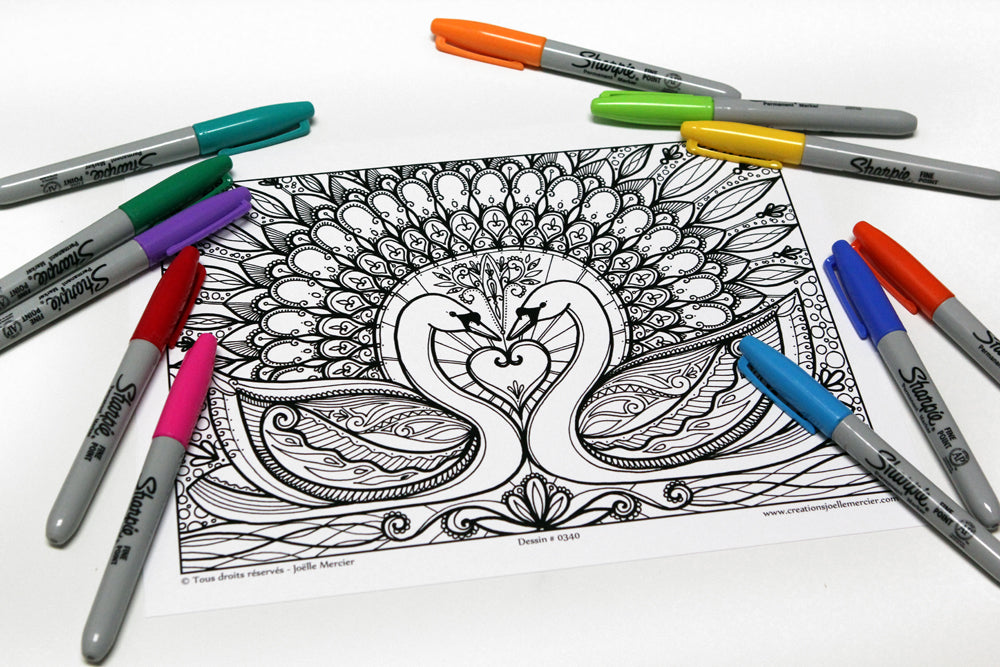 Dessin #0340 Mandala à colorier imprimé sur carton, oiseaux, amoureux, CYGNES