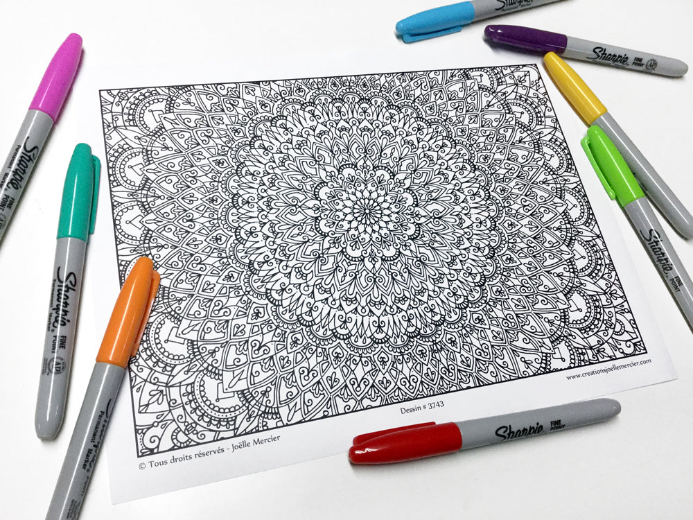 Pochette Fleurs aux DÉTAILS EXTRÊMES #1 - Coloriage de relaxation - 5 dessins de style Mandala