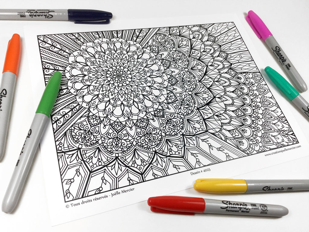 Pochette Fleurs aux DÉTAILS EXTRÊMES #2 - Coloriage de relaxation - 5 dessins de style Mandala