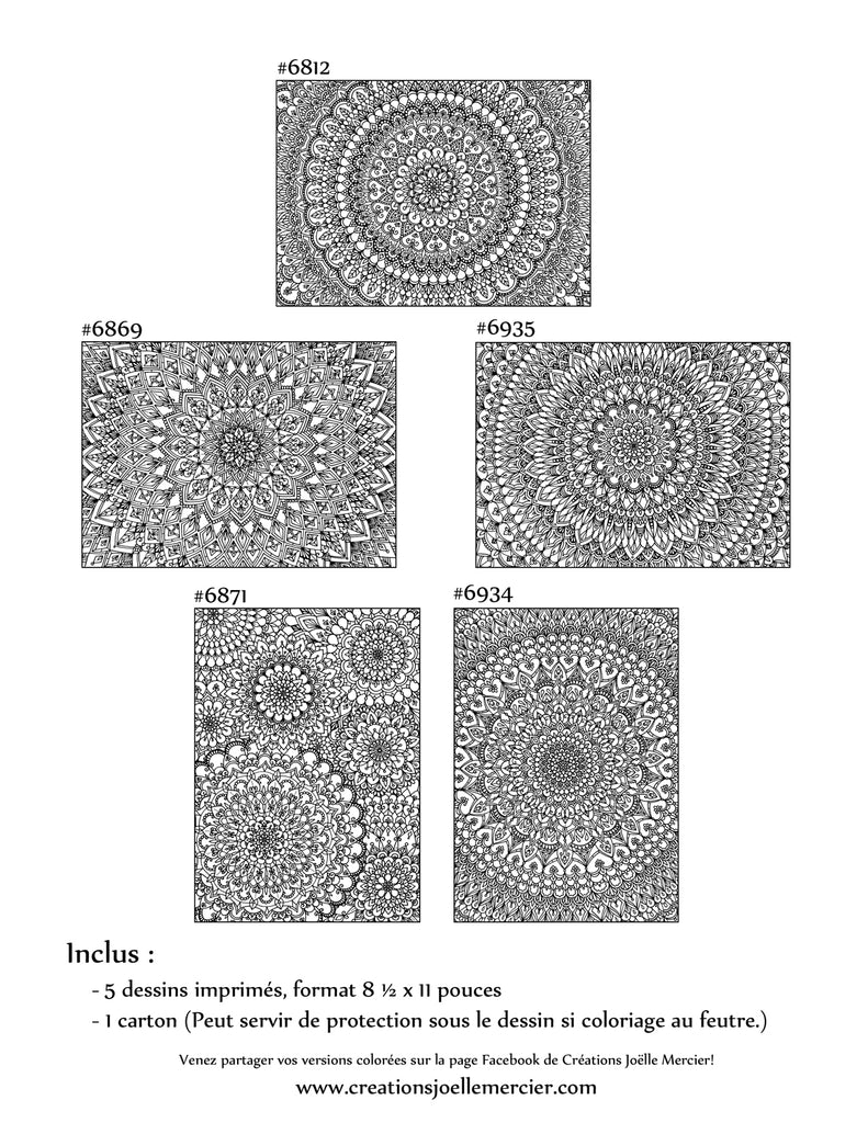 Pochette Fleurs aux DÉTAILS EXTRÊMES #3 - Coloriage de relaxation - 5 dessins de style Mandala