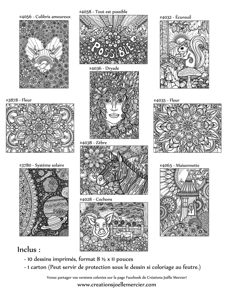 Pochette #17 - 10 dessins - Coloriage de relaxation - Colibri, cochon, écureuil, Dryade, maison, zèbre, mandala, système solaire