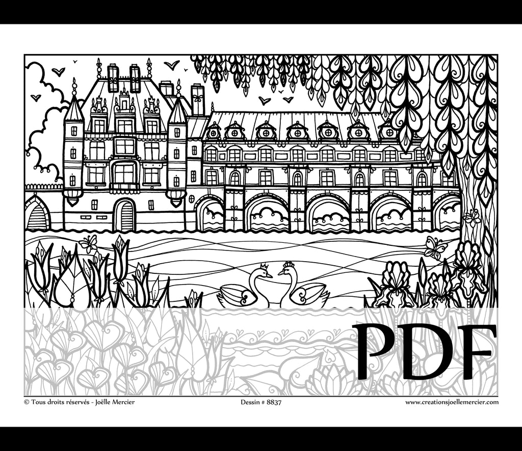 Téléchargement instantané - PDF à imprimer et colorier - LE CHÂTEAU DE CHENONCEAU #8837, cygnes, France