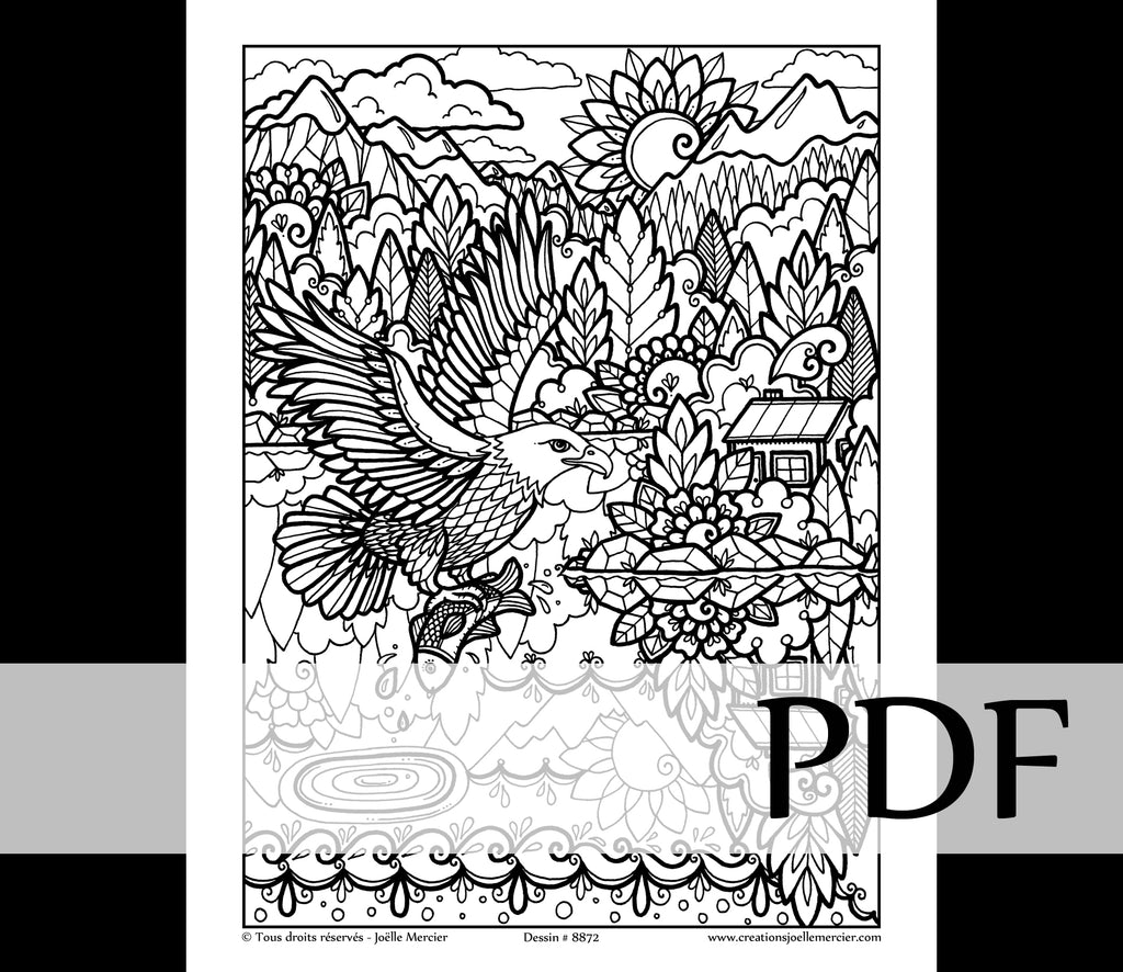 Téléchargement instantané - PDF à imprimer et colorier - PYGARGUE À TÊTE BLANCHE #8872, aigle, oiseau
