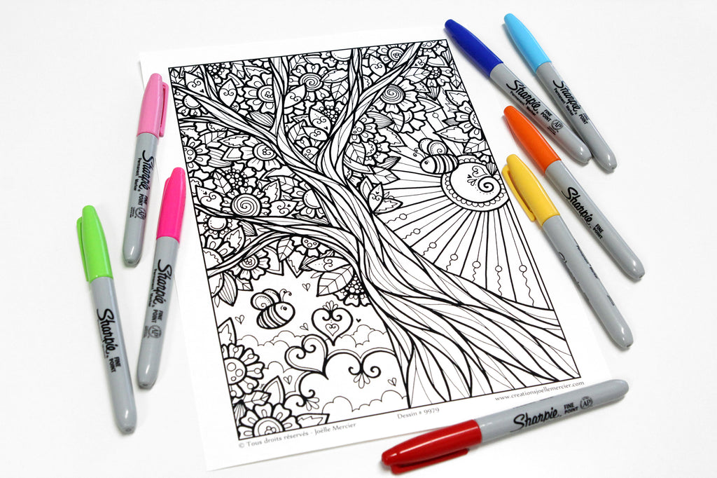 Pochette #47 - 10 dessins - Coloriage de relaxation - Nature, animaux, bibliothèque...