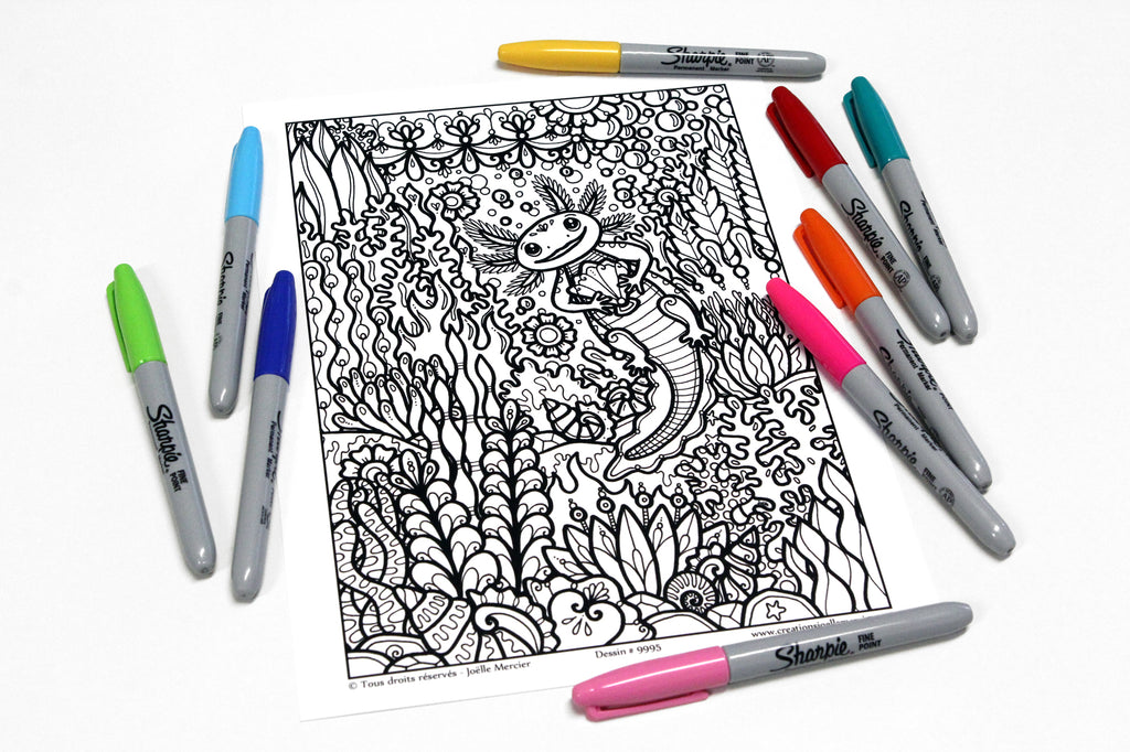 Dessin #9995 - Mandala à colorier imprimé sur carton - AXOLOTL