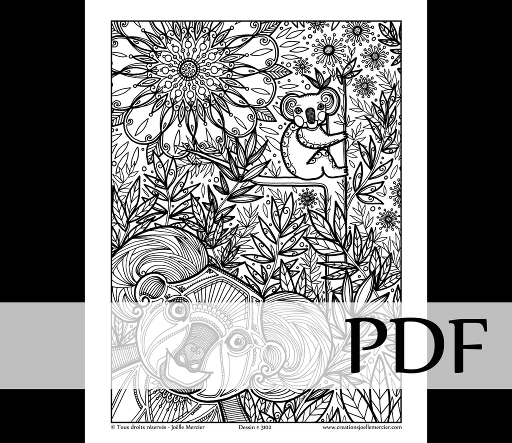 Téléchargement instantané - PDF à imprimer et colorier - Koalas #3102