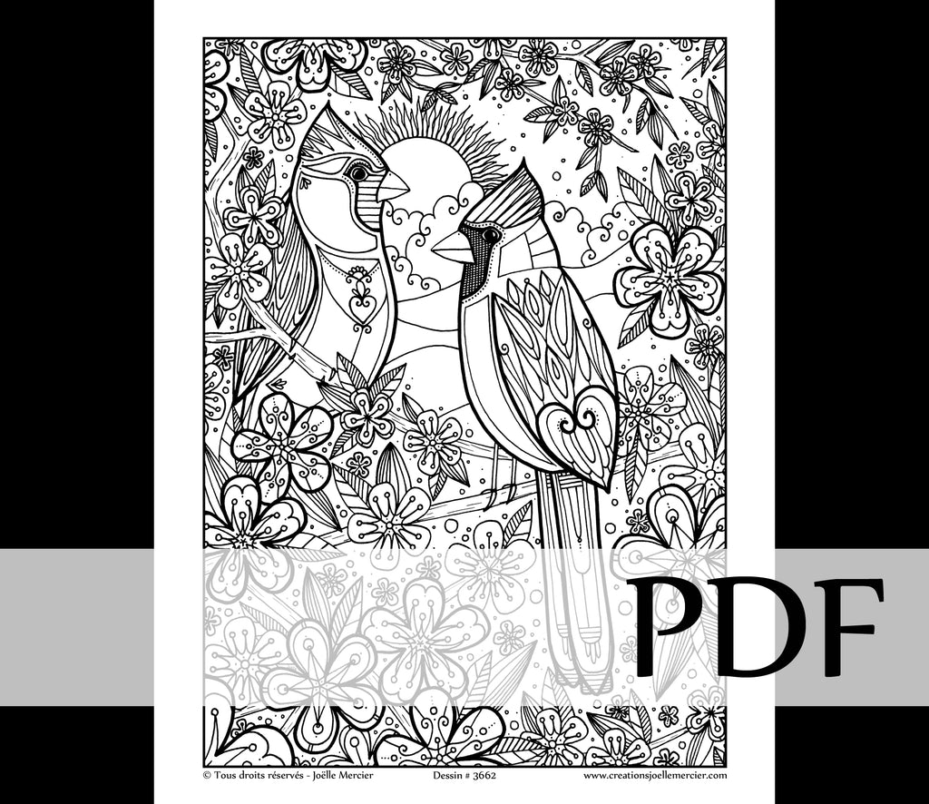 Téléchargement instantané - PDF à imprimer et colorier - Cardinal #3662