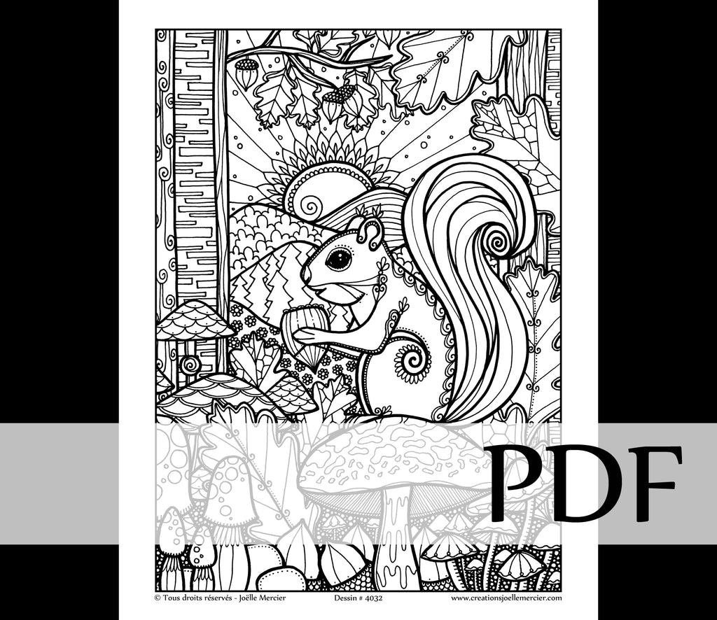 Téléchargement instantané - PDF à imprimer et colorier - Écureuil #4032