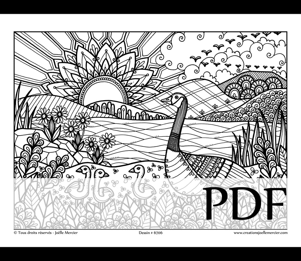 Téléchargement instantané - PDF à imprimer et colorier - BERNACHE DU CANADA #6706, oiseau