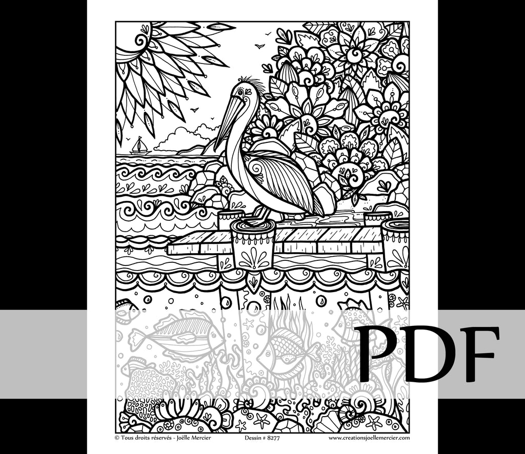 Téléchargement instantané - PDF à imprimer et colorier - PÉLICAN #8277