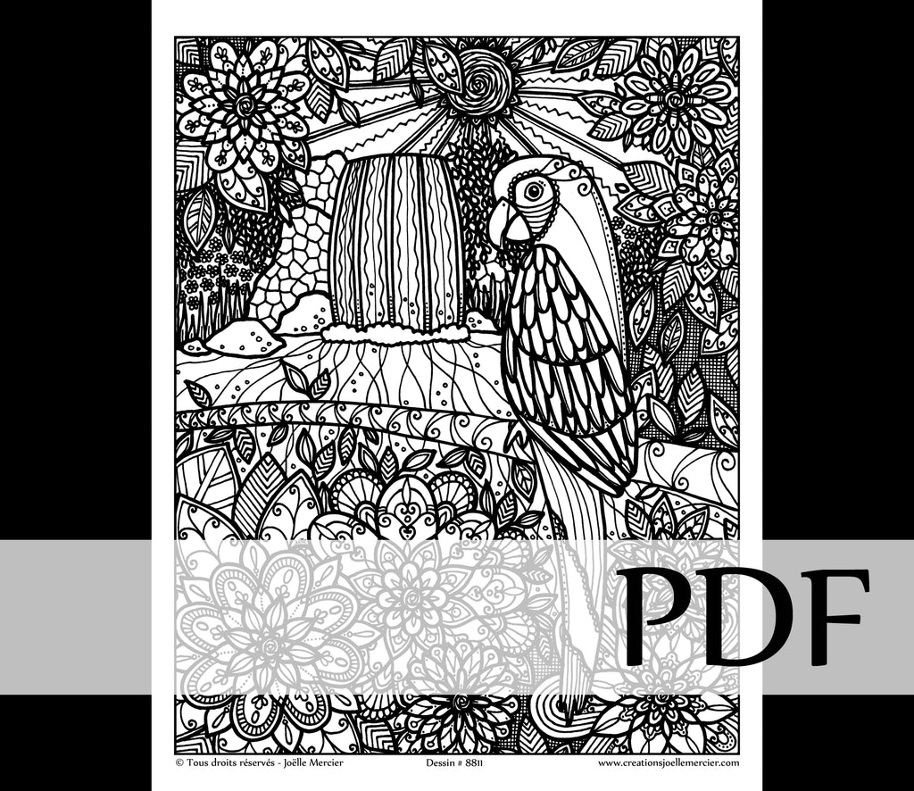 Téléchargement instantané - PDF à imprimer et colorier - Perroquet #8811