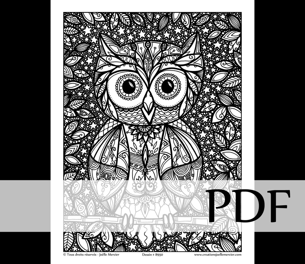 Téléchargement instantané - PDF à imprimer et colorier - Hibou #8950