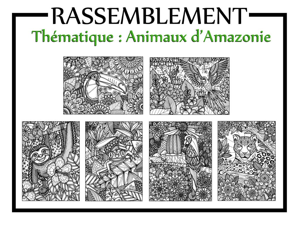 RASSEMBLEMENT thématique ANIMAUX D'AMAZONIE, 6 dessins inclus #0592 #7594 #6290 #6317 #8811 #3182