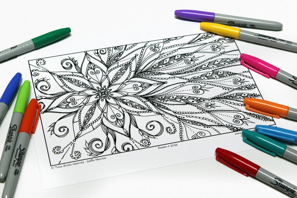 Pochette #1 - 10 dessins - Coloriage de relaxation, fleurs, mandala