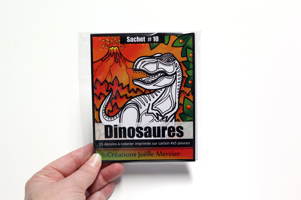 Sachet #10 Dinosaures, inclus 15 dessins à colorier, imprimés sur carton, format 4x5 pouces