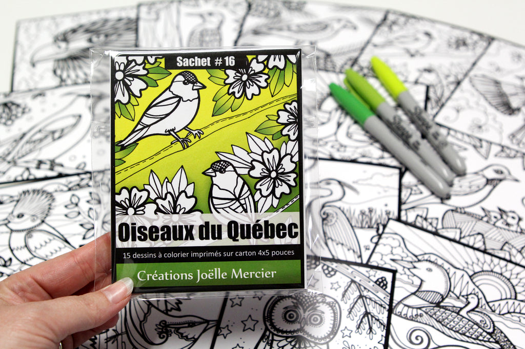 Sachet #16 Oiseaux du Québec, inclus 15 dessins à colorier, imprimés sur carton, format 4x5 pouces