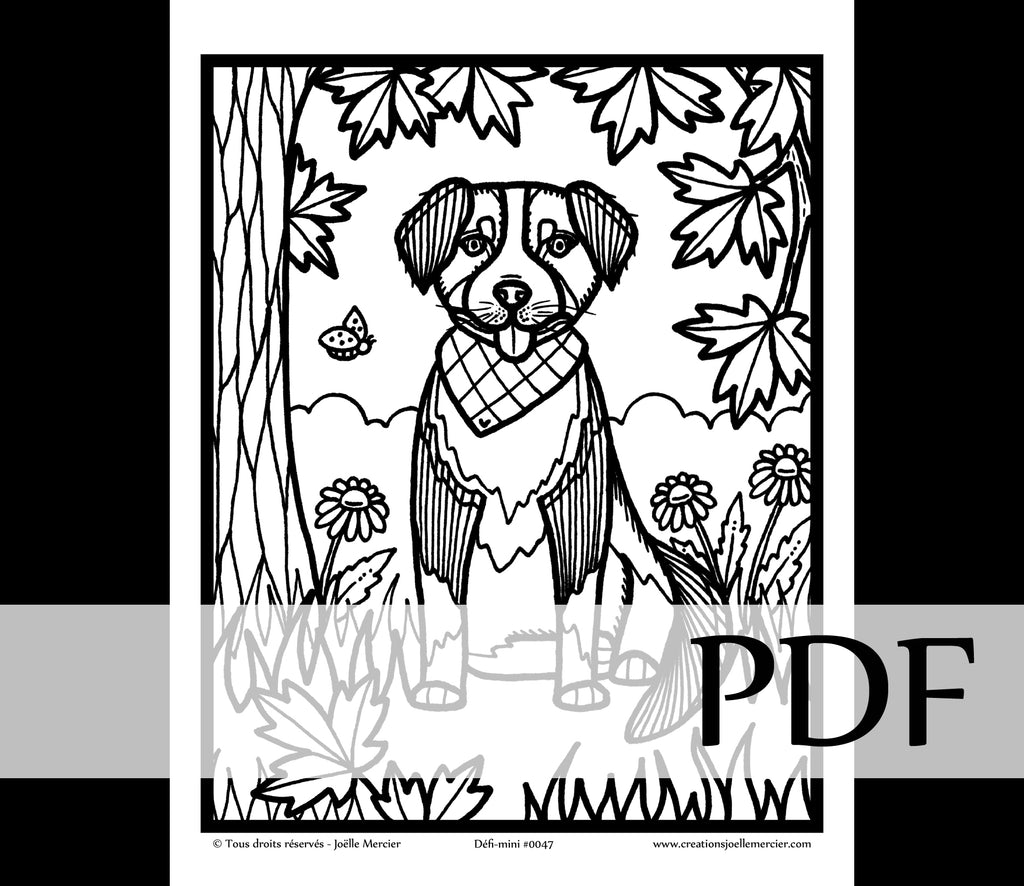 Téléchargement instantané - PDF à imprimer et colorier - Défi-mini #0047 BOUVIER BERNOIS, chien