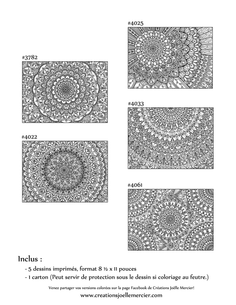 Pochette Fleurs aux DÉTAILS EXTRÊMES #2 - Coloriage de relaxation - 5 dessins de style Mandala