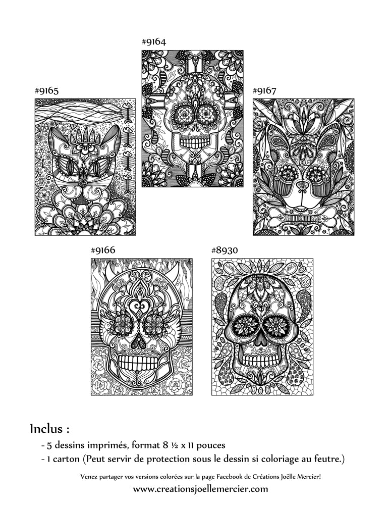 Pochette SUGAR SKULLS - Coloriage de relaxation - 5 dessins - têtes de mort, crânes, chat, chien
